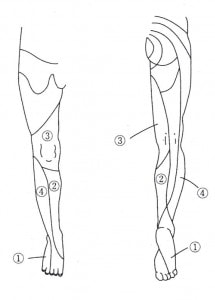 右下肢の知覚障害