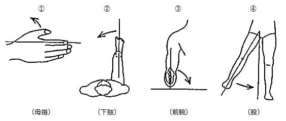 回内