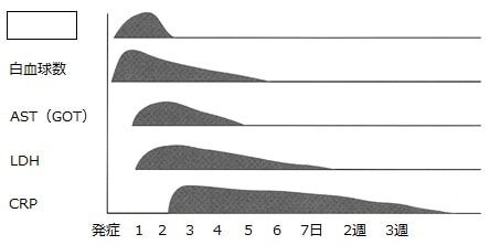 心筋梗塞発症後の検査値