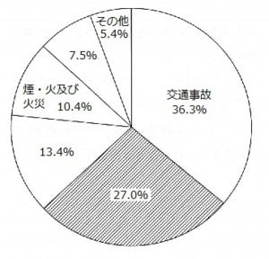 不慮の事故